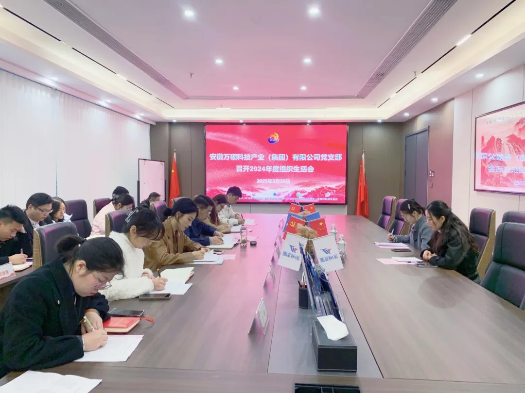 以党建促发展 凝心聚力谱新篇丨尊龙凯时集团党支部召开2024年度组织生活会
